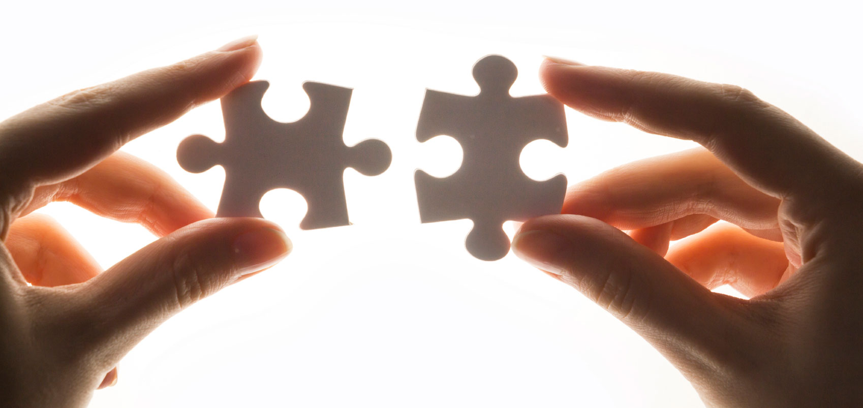 channel partner puzzle 1